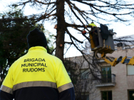 Fotografia | Ajuntament de Riudoms