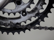 "Riudoms Pedala" premia els i les alumnes que més han utilitzat la bicicleta